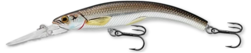 Live Target Rainbow Smelt Banana Bait 3 5/8" Deep Dive - Image 2