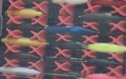 Gruv Fishing Hard Bait Box HB00109072 11 Gruv Fishing Hard Bait Box HB00109072 -Fishing Shop image3 1024x644 66086.1584730369